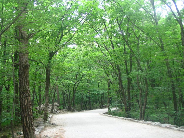 2004