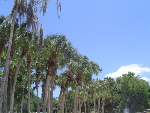 2008