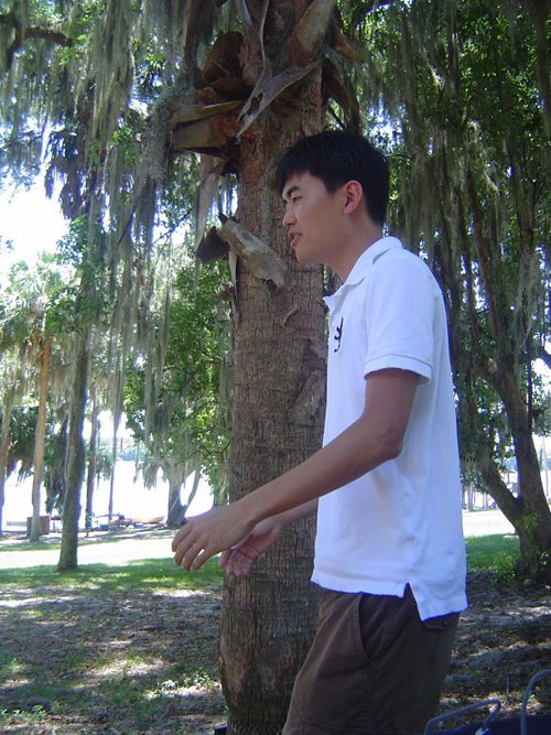 2008