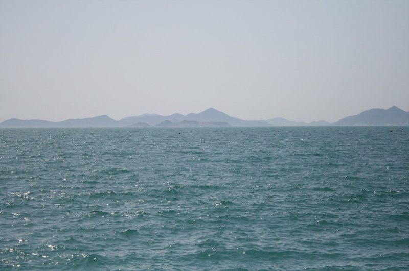 2009