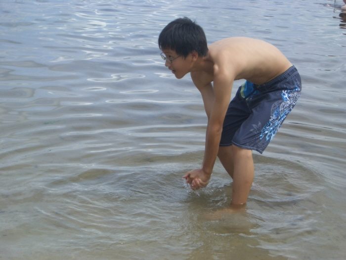 2010