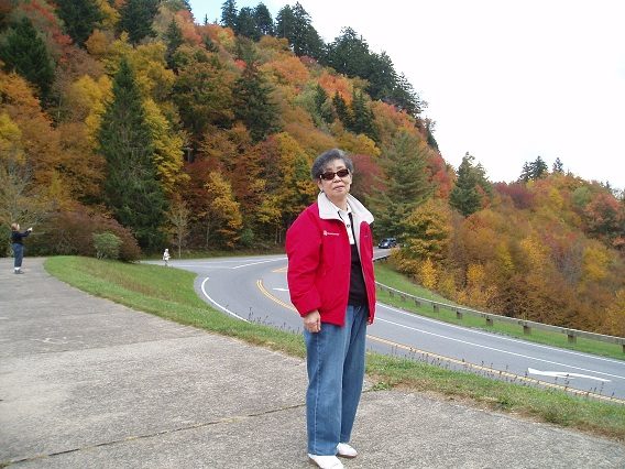 2010
