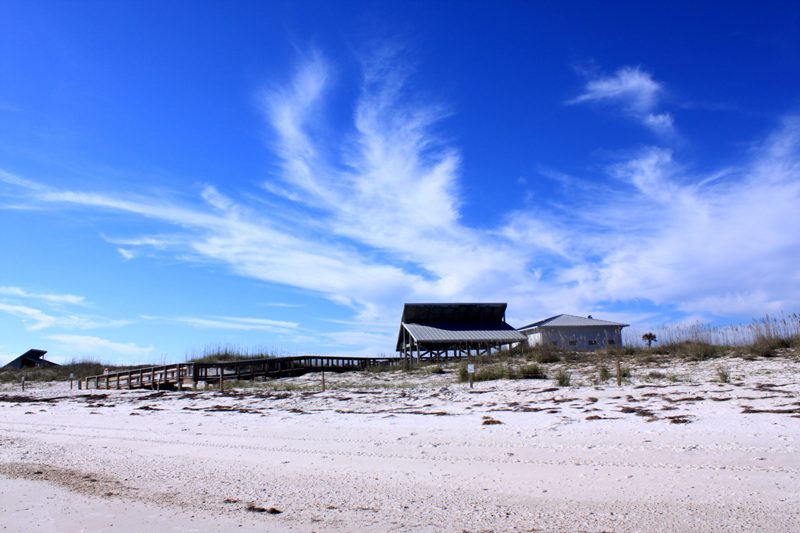 2010