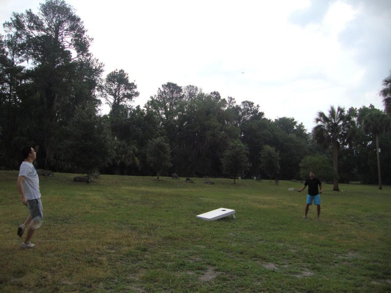 2011