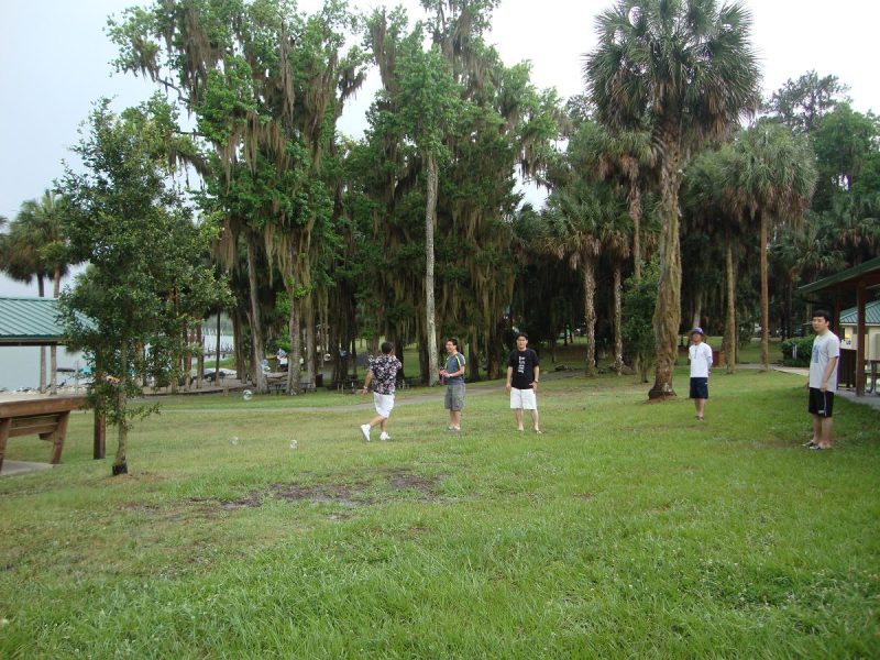 2011