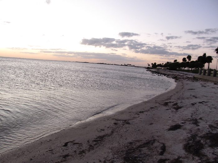 2011