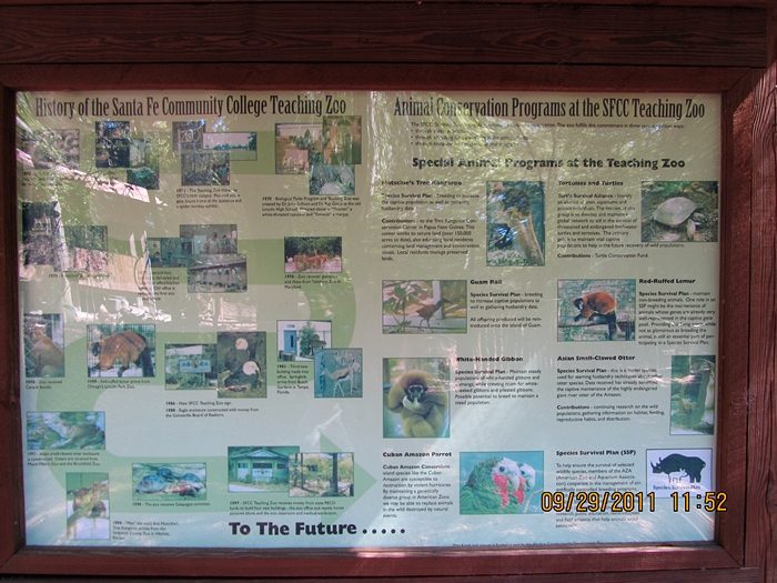2011