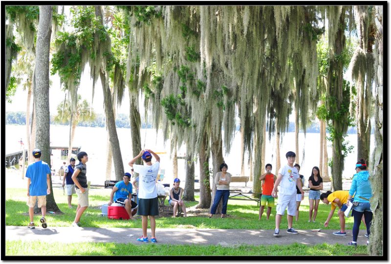 2013
