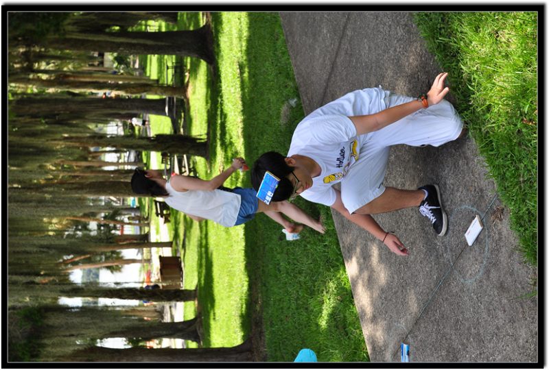 2013